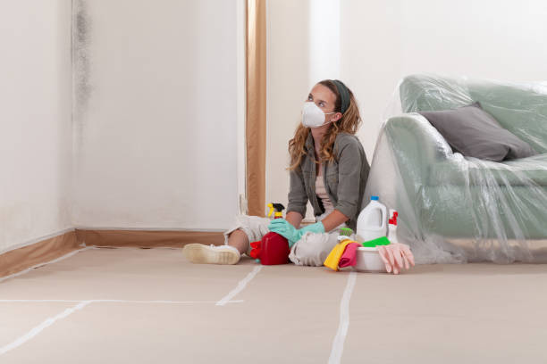 Trusted Black Mold Removal service in Damascus, MD - WQB Mold Removal